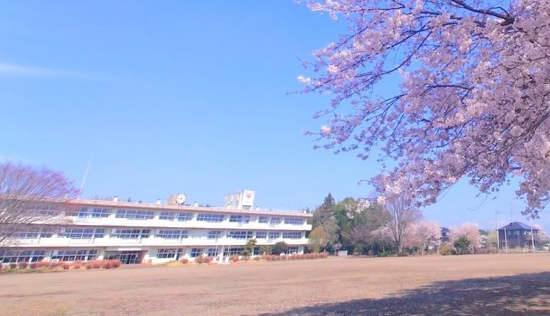 桜と真岡みらい日本語学校の校舎